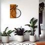 Wallity Bisiklet Accesorio Decorativo de Pared de Madera y Metal Nogal y Negro